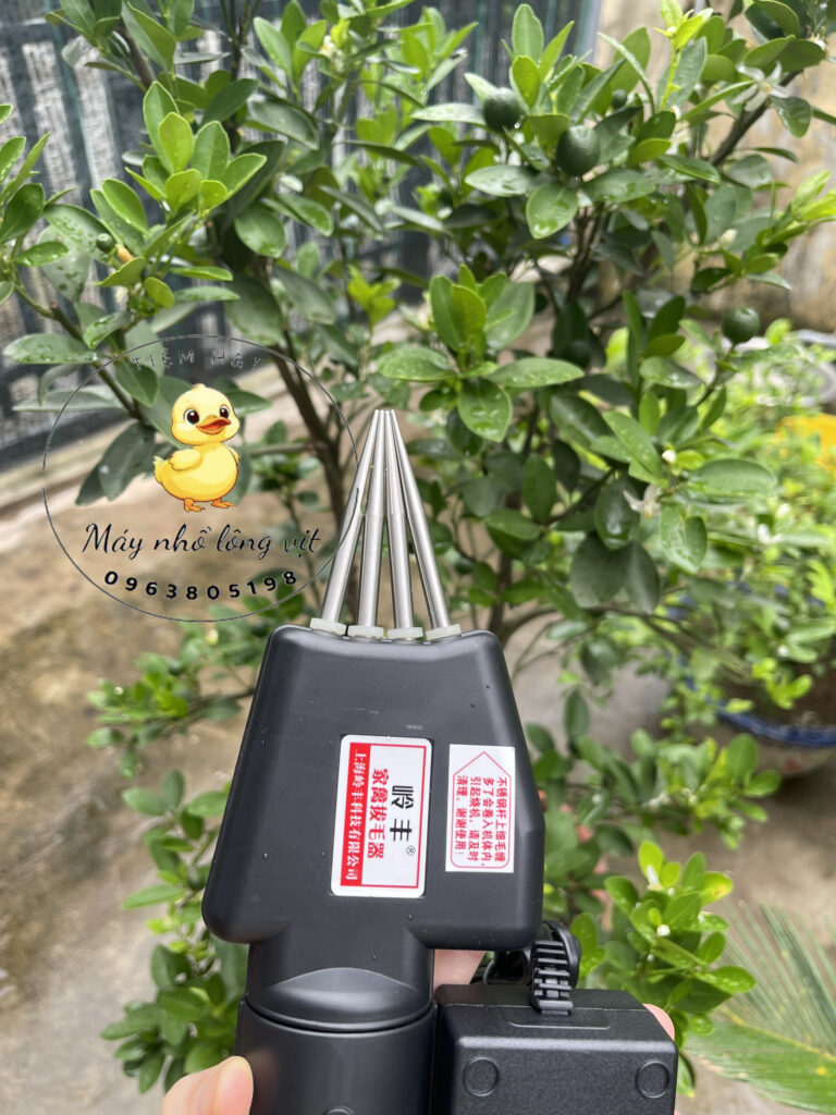 4 mũi kẹp Inox cao cấp