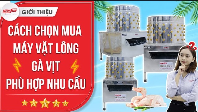 Tổng kho máy nhổ lông vịt