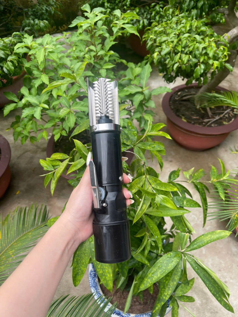 Máy cạo vảy cá