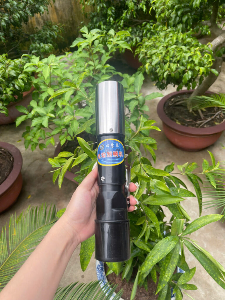 Máy đánh vảy cá