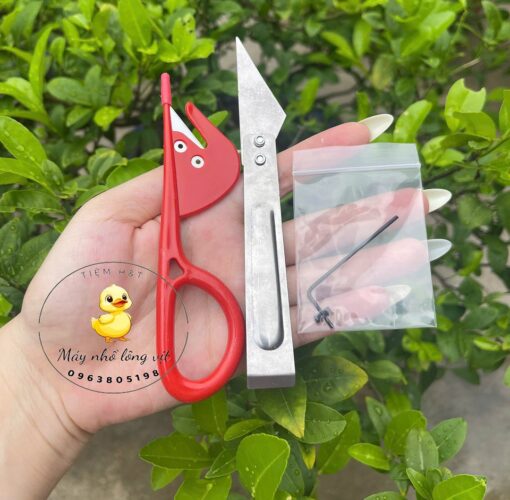 Phụ kiện đi kèm máy nhổ lông vịt A300 Promax