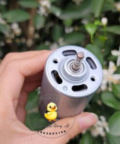 Motor máy nhổ lông vịt dùng điện xanh