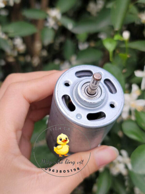 Motor máy nhổ lông vịt dùng điện xanh