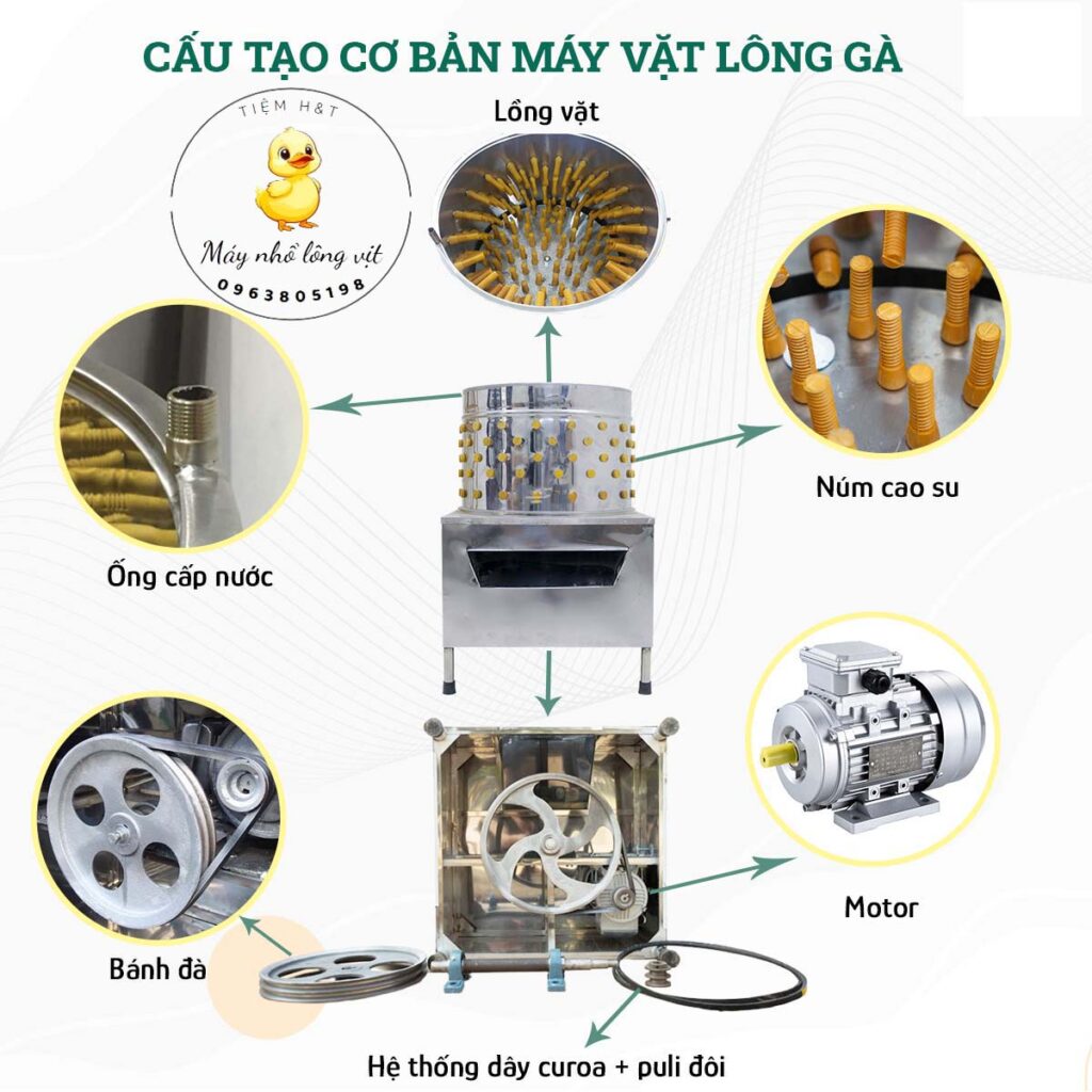 cấu trúc máy vặt lông gà vịt phi 55cm