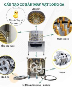 cấu trúc máy vặt lông gà vịt phi 55cm
