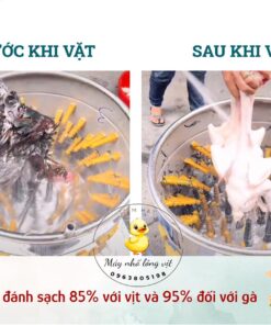 trước và sau khi sử dụng máy vặt lông vịt