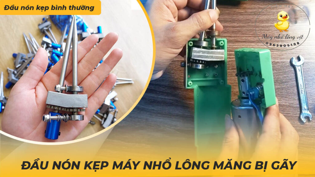 Đầu kẹp máy nhổ lông vịt bị gãy 